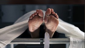 هل تتحرك الجثث بعد الموت؟ العلم يجيب