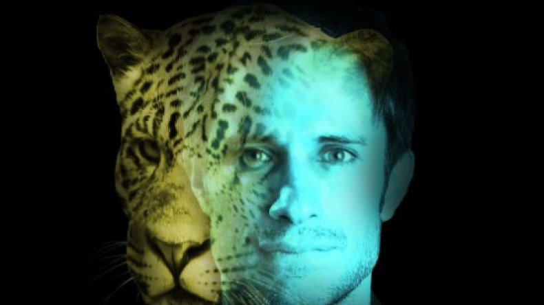 6 صفات تدل على أنك تتمتع بعقلية “النمر”