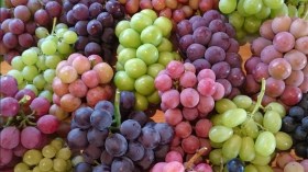 العنب الأخضر أم الأحمر.. أيهما الأكثر صحة؟