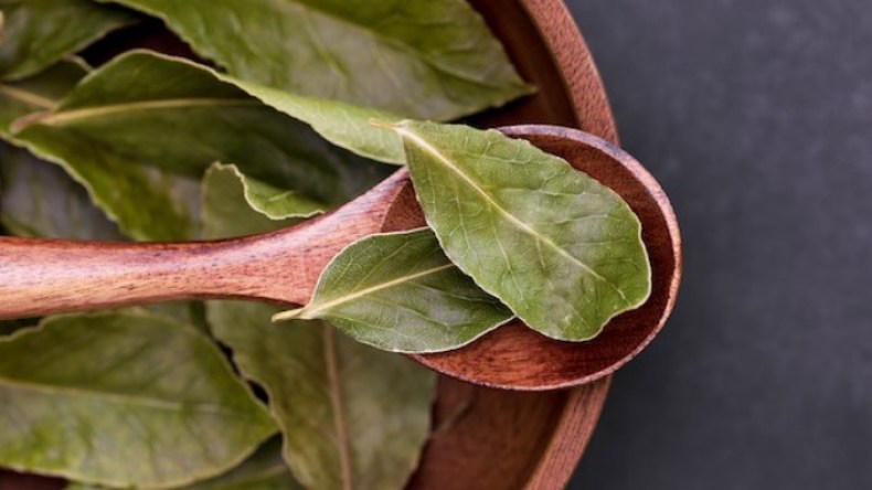 ورق الغار مفيد لمرضى السكري وزيته سحري للتجميل