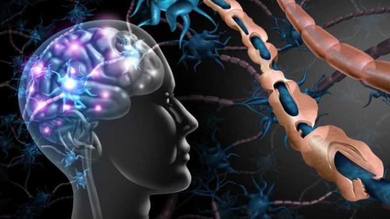 التصلب اللويحي.. نقص فيتامين د والجينات الوراثية هي السبب