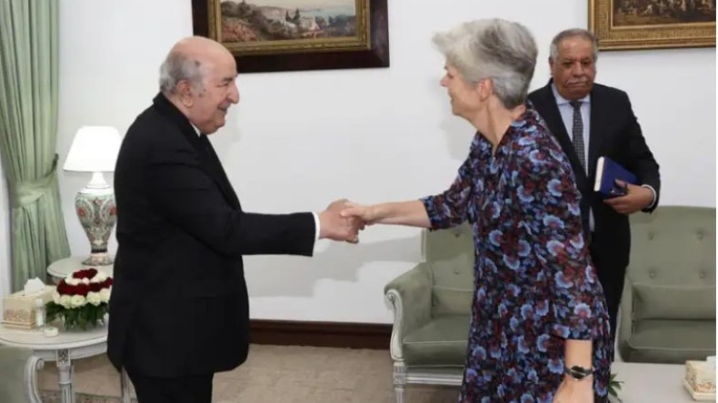 بالفيديو.. هذا ما قالته سفيرتا هولندا وألمانيا عن الجزائر عقب استقبال الرئيس تبون لهما! 