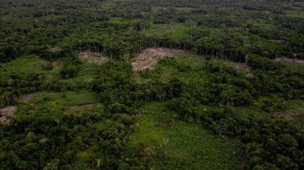 Une tribu amazonienne isolée aperçue à proximité des sites d’exploitation forestière au Pérou