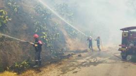 الحماية المدنية تنشر الحالة العامة لحرائق الغابات