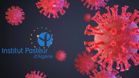 Mpox: Une alerte sanitaire mondiale du plus haut niveau décrétée, explications de l’Institut Pasteur