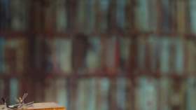  نبارك الرداءة في العلن ونلعنها في السر