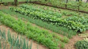 “السياحة الزراعية” تستقطب هواة الاستكشاف ومحبي الطبيعة!