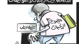 الجامعة بين الرغبات والتوجيهات