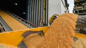 حصاد الحصاد