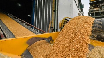 حصاد الحصاد