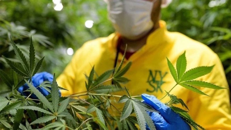 حرب المخدرات.. تصعيد خطير!