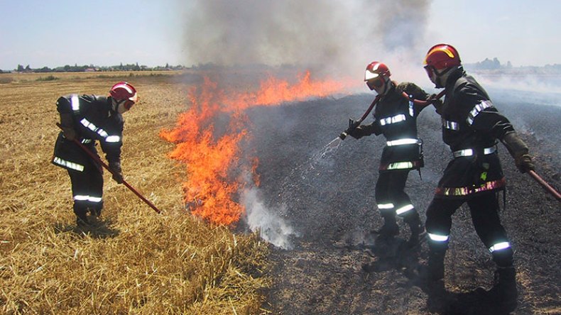 إستراتيجية تأمين جديدة لصالح الفلاحين المتضرّرين من الحرائق