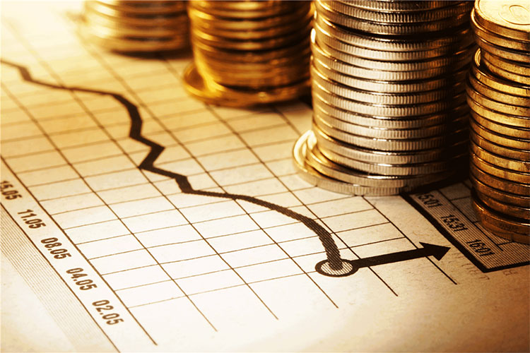Funds, Investment Portfolios For The Success Of Islamic Banking