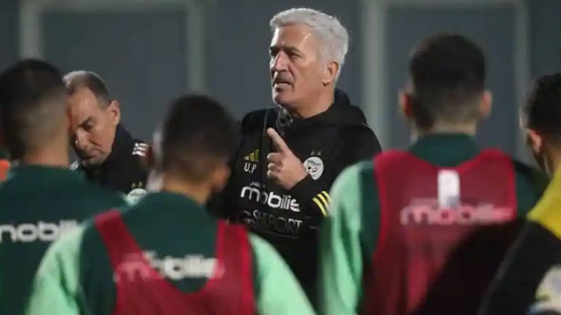 بيتكوفيتش يعيد الهدوء تدريجيا إلى بيت “الخضر”