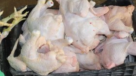 Alger: Saisie de 10 quintaux de viandes blanches avariées à Sidi Moussa