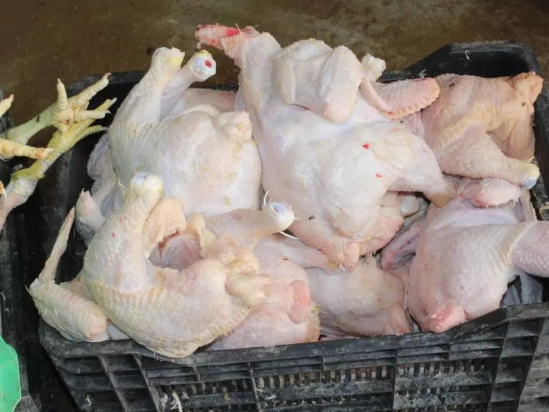 Alger: Saisie de 10 quintaux de viandes blanches avariées à Sidi Moussa