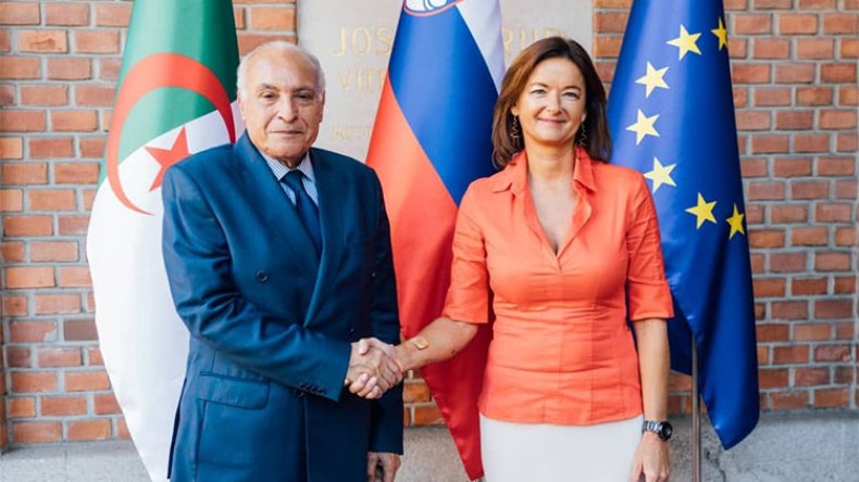 صفعة أخرى للمخزن.. سلوفينيا تدعم الشعب الصحراوي