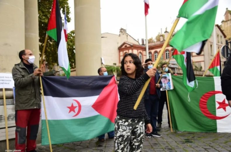 Sit-in à Alger en solidarité avec le peuple sahraoui et en protestation contre le soutien de la France au plan d’autonomie marocain