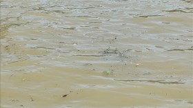 France / Pollution de la Seine: Une menace pour les JO de Paris 2024