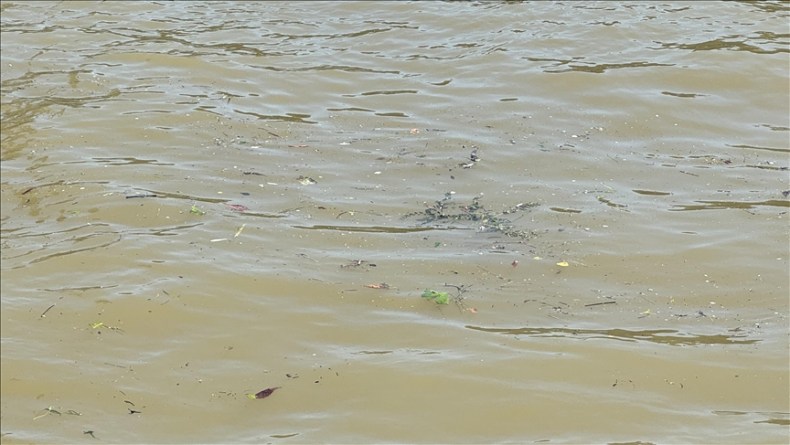 France / Pollution de la Seine: Une menace pour les JO de Paris 2024