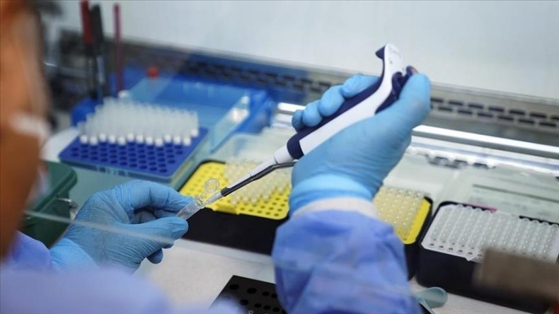 Afrique du Sud: L’épidémie de Mpox est sous contrôle