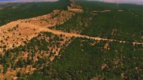 السد الأخضر.. متى يتحوّل إلى سدّ وأخضر؟