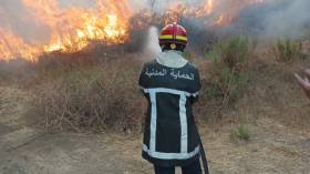 ترحيل 35 عائلة بسبب حريق غابة في ميلة