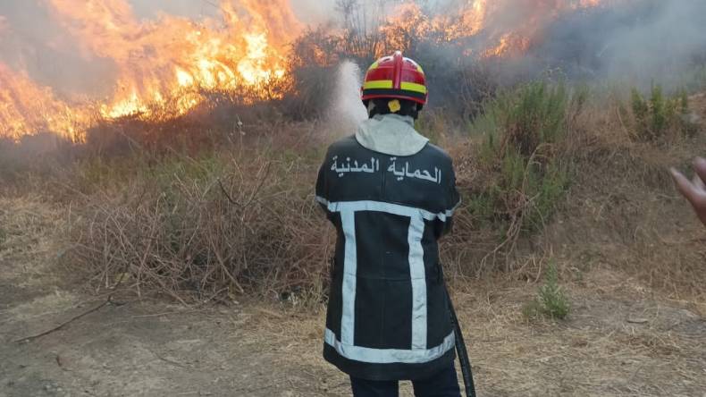 ترحيل 35 عائلة بسبب حريق غابة في ميلة