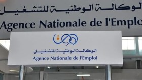 توجيه أكثر من 368 ألف مستفيد من منحة البطالة نحو التكوين