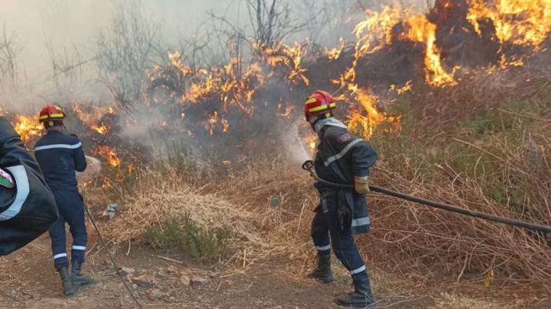 الحالة العامة لحرائق الغطاء النباتي لنهار اليوم 