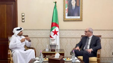 Broader Discussion on the “Baladna” Milk Production Project