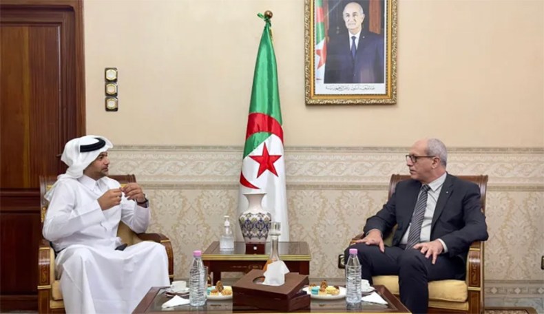 Broader Discussion on the “Baladna” Milk Production Project