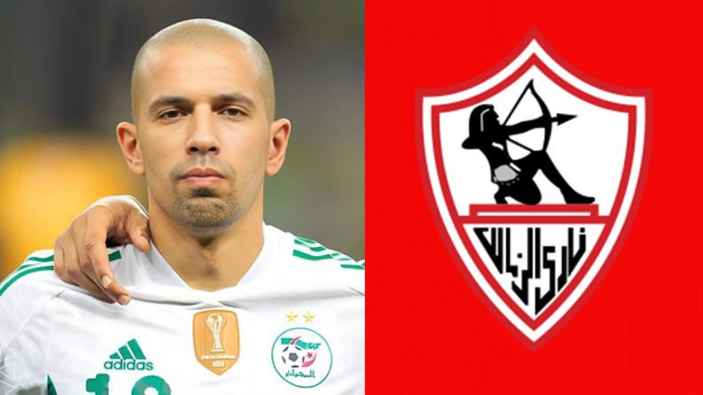 فيغولي في الزمالك