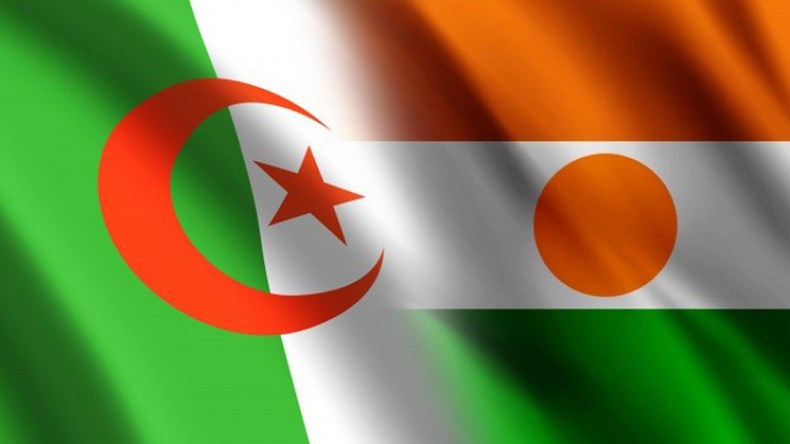 فتح آفاق جديدة للتعاون الطاقوي مع النيجر وسلوفينيا