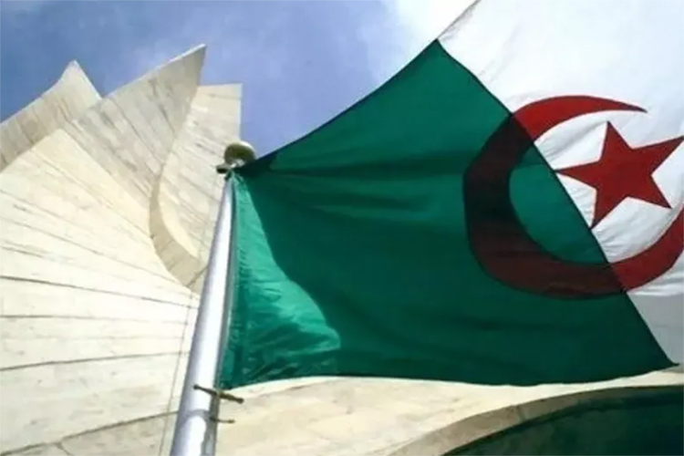 L’Algérie dépose plainte à Paris contre l’eurodéputée Sarah Knafo pour diffusion de fakenews