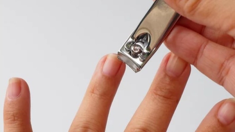 لماذا يجب ألا تشارك مقص الأظافر مع الآخرين؟