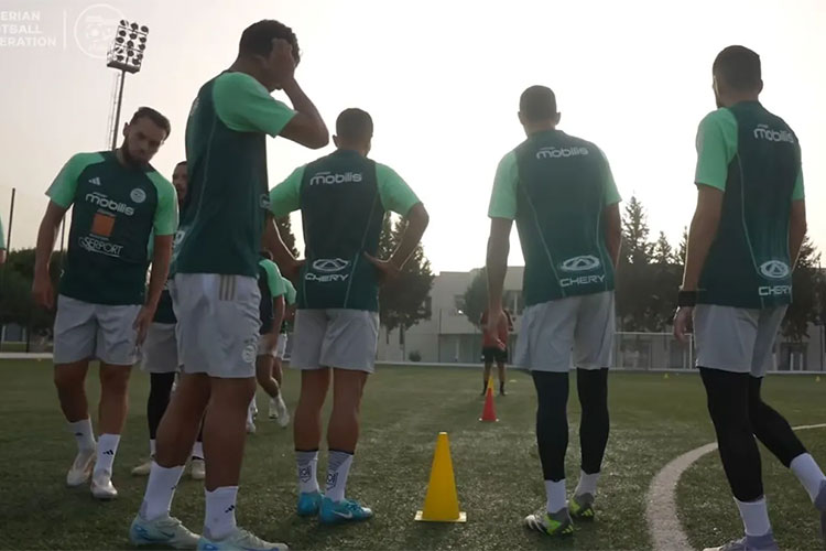 Fennecs Predicted Lineup Against Liberia