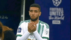 بيتكوفيتش يستدعي أحمد قندوسي