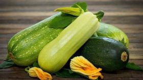 خبيرة تحذّر من عواقب الإكثار من تناول القرع الأخضر