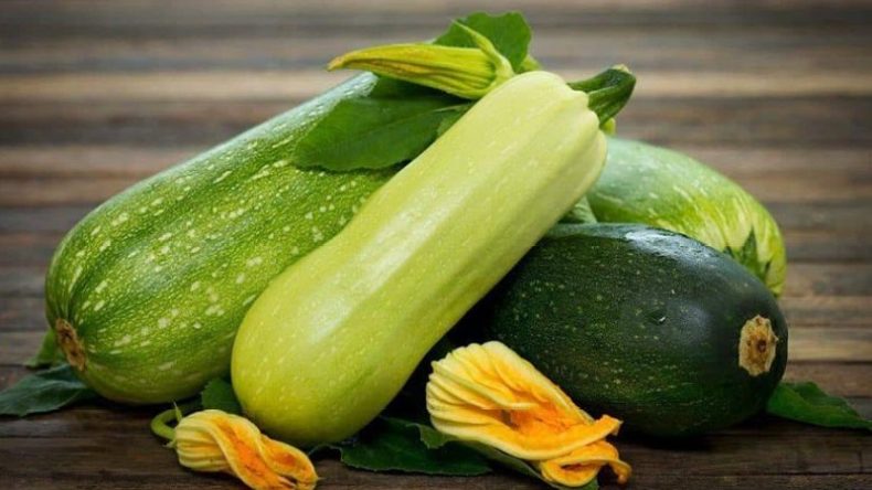 خبيرة تحذّر من عواقب الإكثار من تناول القرع الأخضر