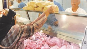 وفرة متوقعة في اللحوم البيضاء قبل نهاية سبتمبر