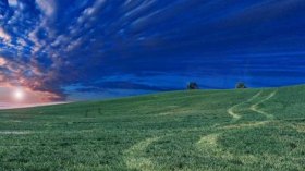 شهرة الأرض.. وشهرة السّماء