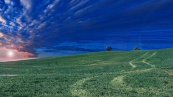 شهرة الأرض.. وشهرة السّماء