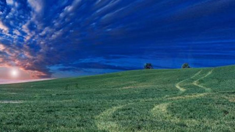 شهرة الأرض.. وشهرة السّماء