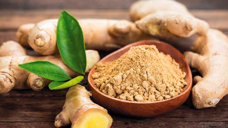 أهم 10 فوائد مثبتة طبيا للزنجبيل