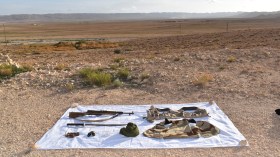 وزارة الدفاع: القضاء على إرهابيين اثنين بولاية تبسة