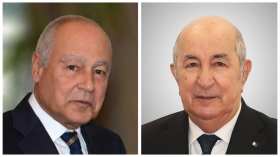 أبو الغيط يشيد بالدور الفعال للجزائر في دعم القضايا العربية