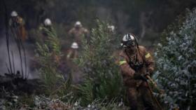 قتلى ومصابون في حرائق البرتغال