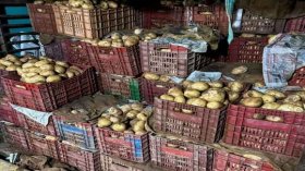 حجز قرابة 83 قنطار من البطاطا بعين الدفلى