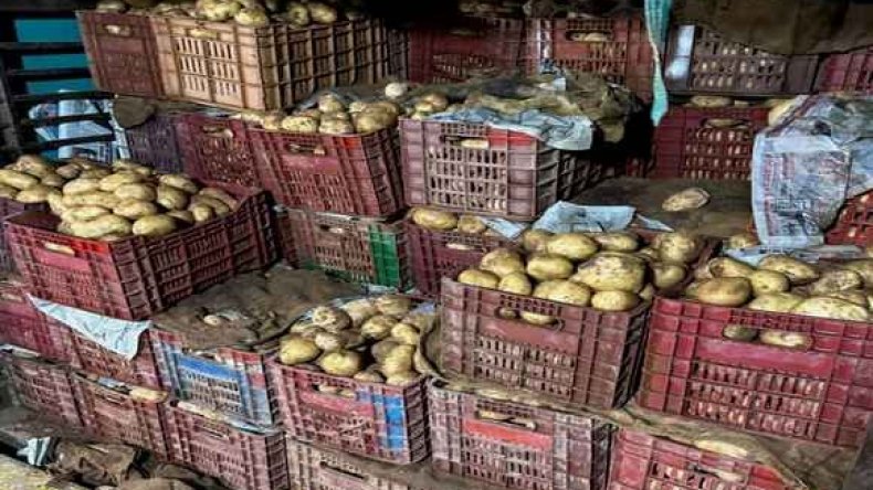 حجز قرابة 83 قنطار من البطاطا بعين الدفلى